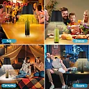 Wine Bottle Light, Cordless Rechargeable LED Bottle Lamp Head with Touch Control, Warm-to-Cool or RGB Color Changing, Bar & Party Decor