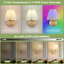 Battery Operated Wall Sconce with Remote, Pleated Shade Rechargeable LED Wall Light, Dimmable with Timer & RGB Colors