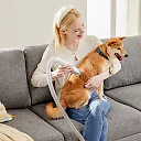 Dog Grooming Vacuum Kit, 2.5L Pet Grooming Vacuum with 3 Suction Modes & 5 Tools incl. Clipper, Low-Noise Dog Hair Vacuum, White