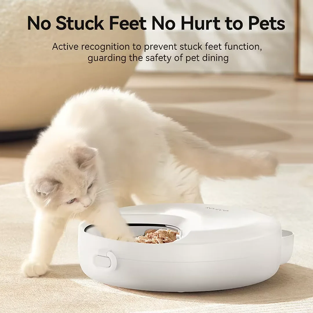 Automatic Cat Feeder for Wet Food, 4-Meal Timed Pet Feeder with Ice Packs to Keep Food Fresh, Cordless LCD Timer Feeder