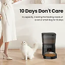 Automatic Cat Feeder 2L, Timed Dry Food Dispenser with LCD Screen & Portion Control, Button Programming, US Plug