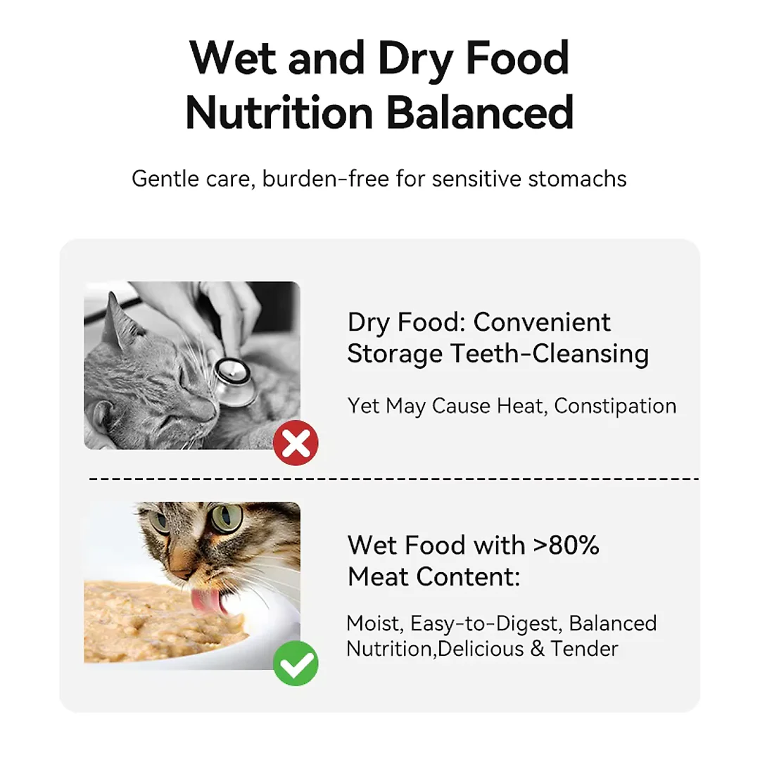 Automatic Cat Feeder for Wet Food, 4-Meal Timed Pet Feeder with Ice Packs to Keep Food Fresh, Cordless LCD Timer Feeder