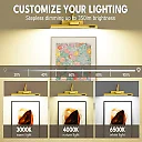 Rechargeable Picture Light with Remote, Battery Operated 4000mAh LED Art Light, Cordless Wireless Painting Light for Artwork & Mirrors