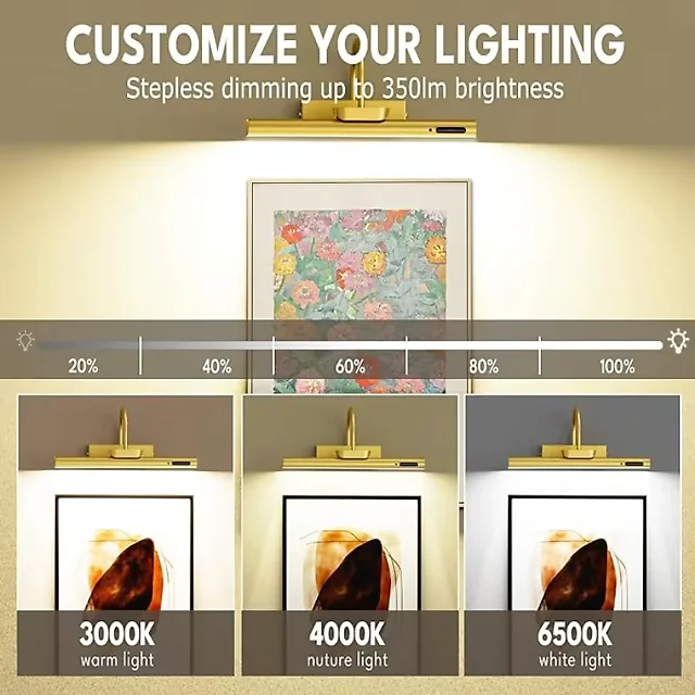 Rechargeable Picture Light with Remote, Battery Operated 4000mAh LED Art Light, Cordless Wireless Painting Light for Artwork & Mirrors