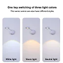 Wireless Picture Light, Rechargeable 2000mAh LED Art Spotlight with Remote or Motion Sensor, Dimmable Cordless Accent Light